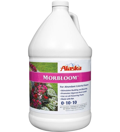 Alaska MorBloom