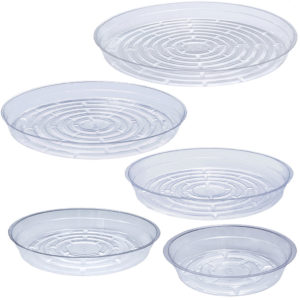 Clear Saucers