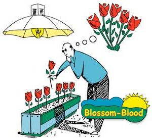 Blossom Blood