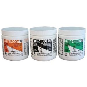 stim root powder