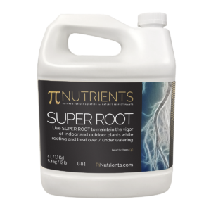 Pi Nutrients Super Root