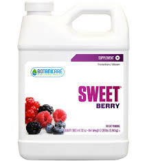 Sweet Berry