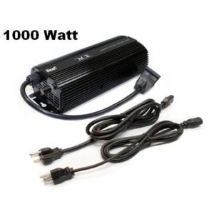 ACE 1000 Watt Ballast