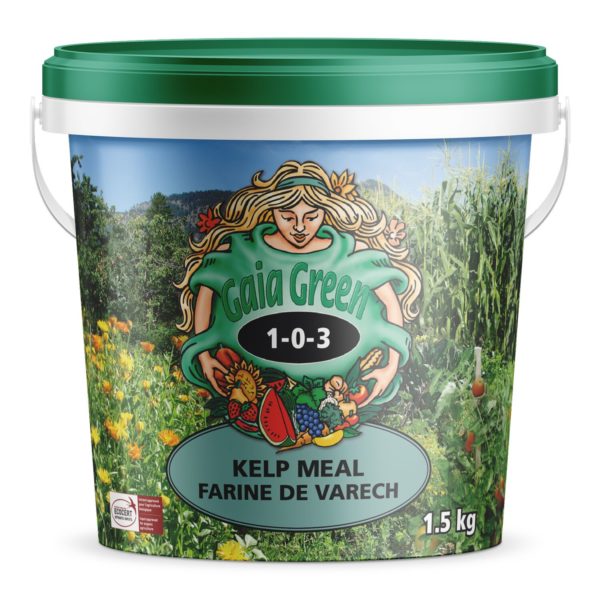 Gaia Green Kelp Meal