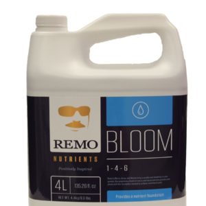 remo bloom