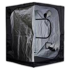 Mammoth Pro 5x5x6.6