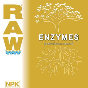 RAW ENZYMES