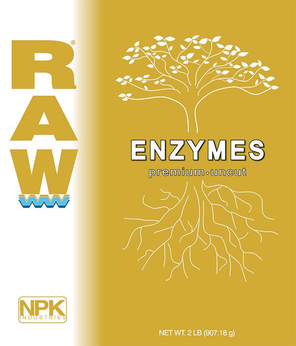 RAW ENZYMES