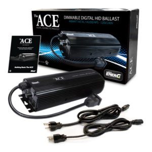 600 Watt ACE BALLAST