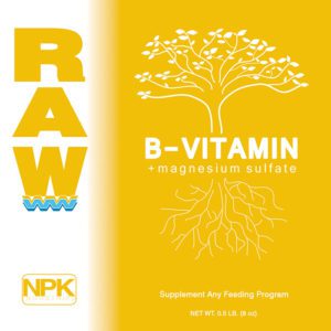 RAW B-VITAMIN