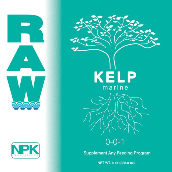 RAW KELP