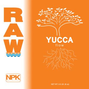 RAW YUCCA