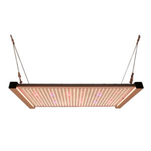 Quantum Board-H240 Watt LED