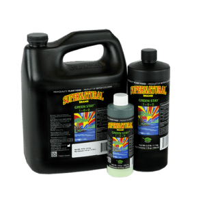 SUPERNATURAL GREEN STAY