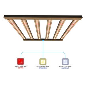 PRO SERIES 650W LED (6 Bar)