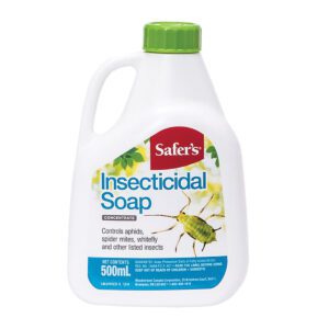 safers insecticide soap