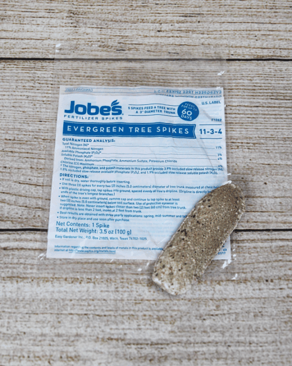 jobes evergreen tree spike