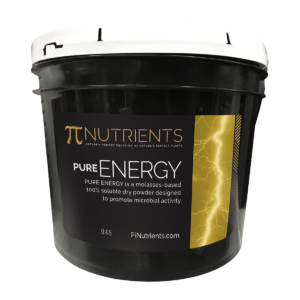 Pi Nutrients PURE ENERGY