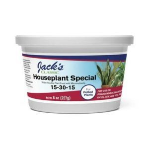 Jacks Classic Houseplant Special