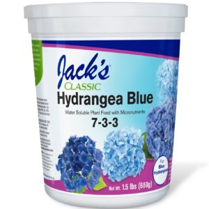 Jacks Classic Hydrangea Blue