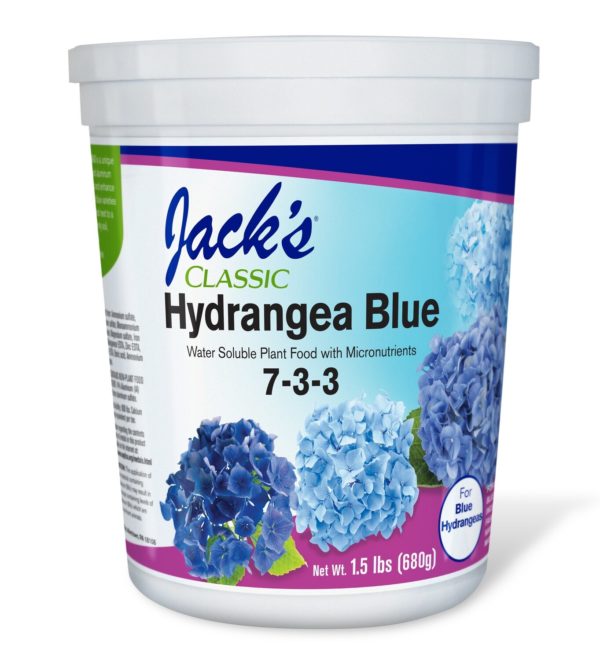 Jacks Classic Hydrangea Blue