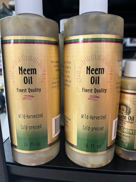 Einstein Oil