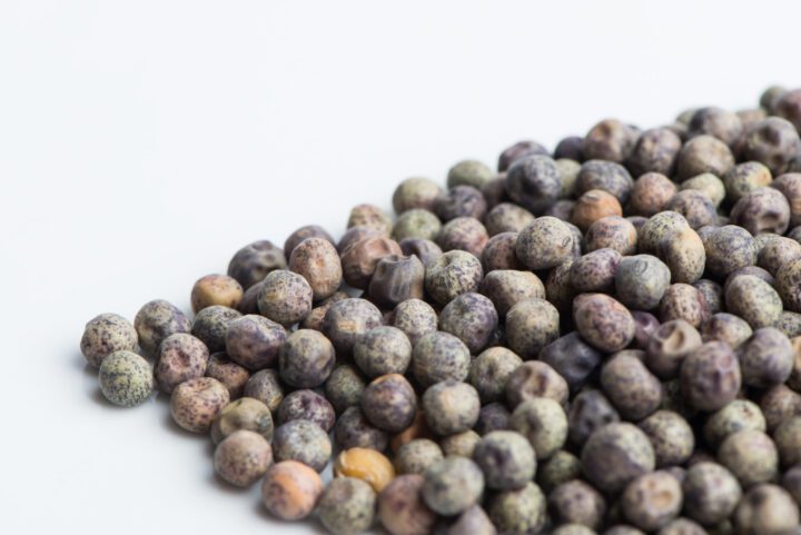 Sweet Pea Microgreen Seeds