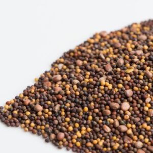 Zesty Mix Microgreen Seeds