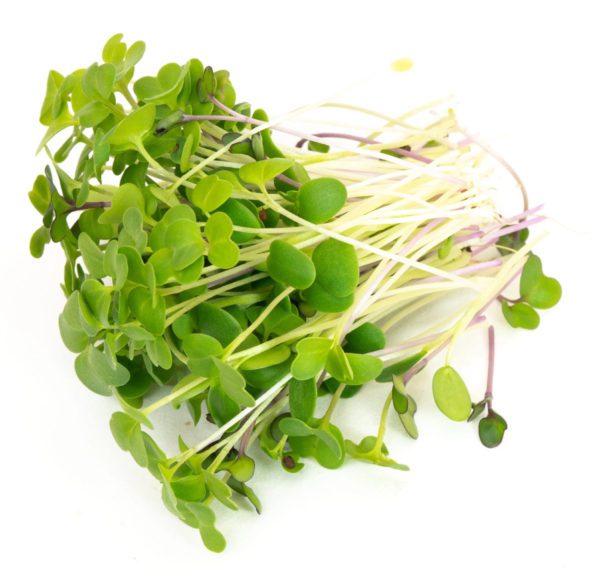 Happy Mix Microgreen Seeds