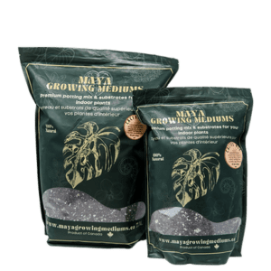 Maya Cactus Blend potting soil