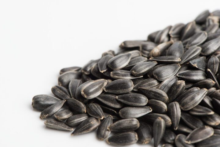 Sunflower Microgreen Seeds
