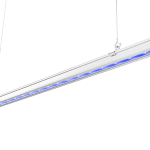 Gavita UVR LED STRIP