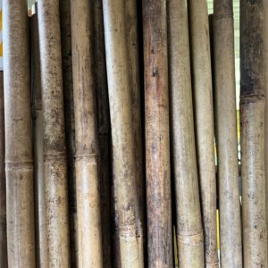 24-26mm bamboo poles