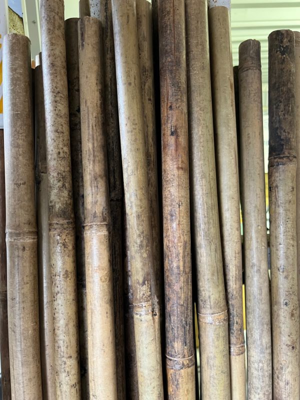24-26mm bamboo poles