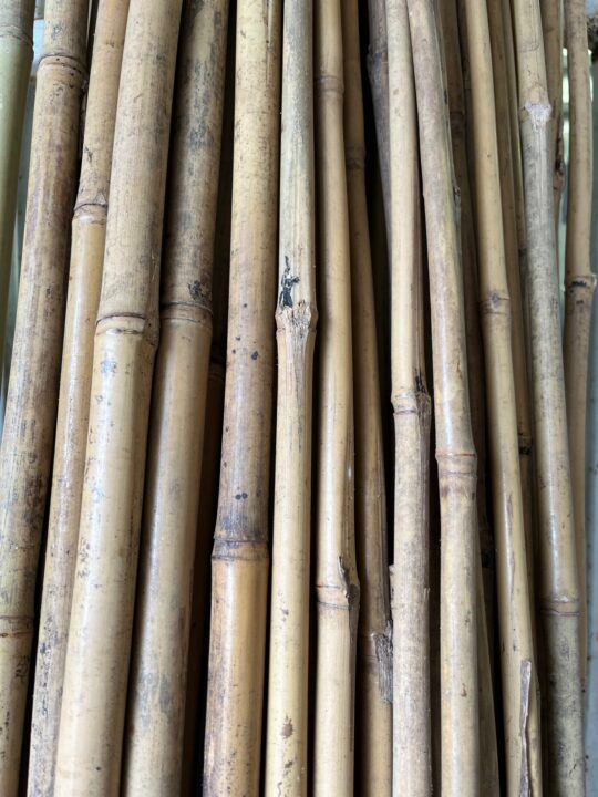 Bamboo Poles
