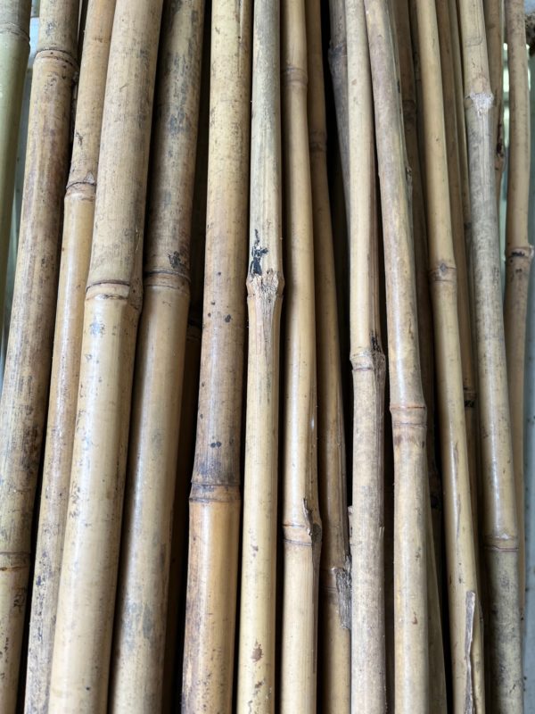 8' Bamboo Poles 18-20MM