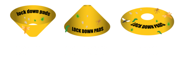 Lock Down Pads