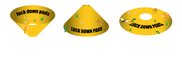 Lock Down Pads