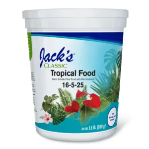 Jacks classic tropical food