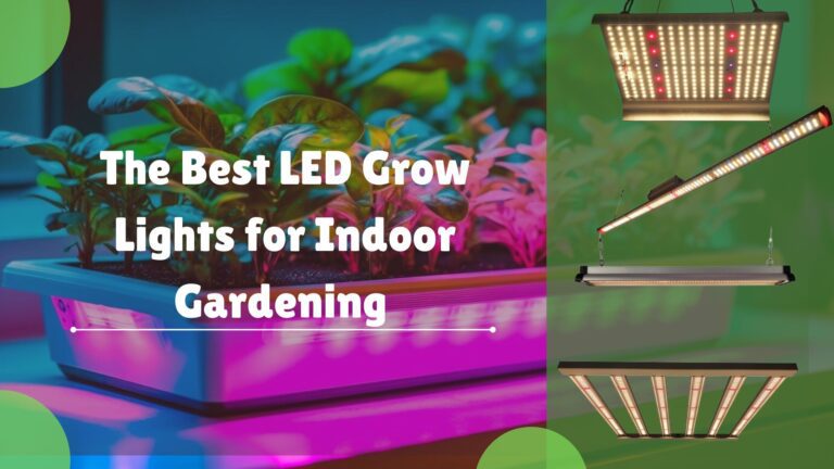 Best LED Grow Lights for Indoor Gardening