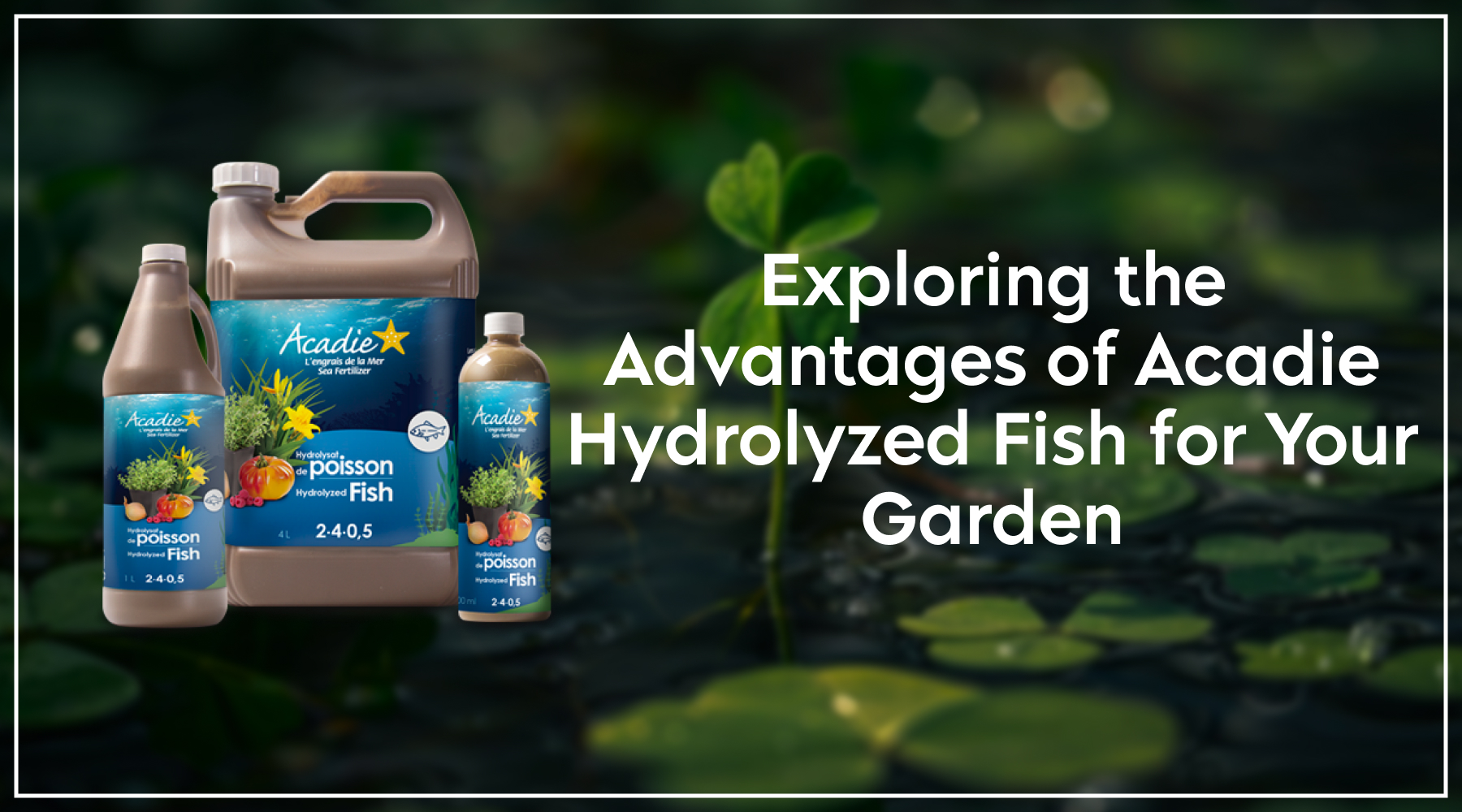 Acadie Hydrolyzed Fish