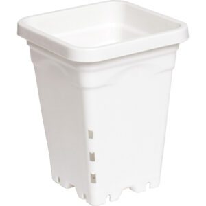 Active Aqua Square Pots