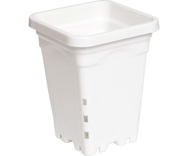 Active Aqua Square Pots