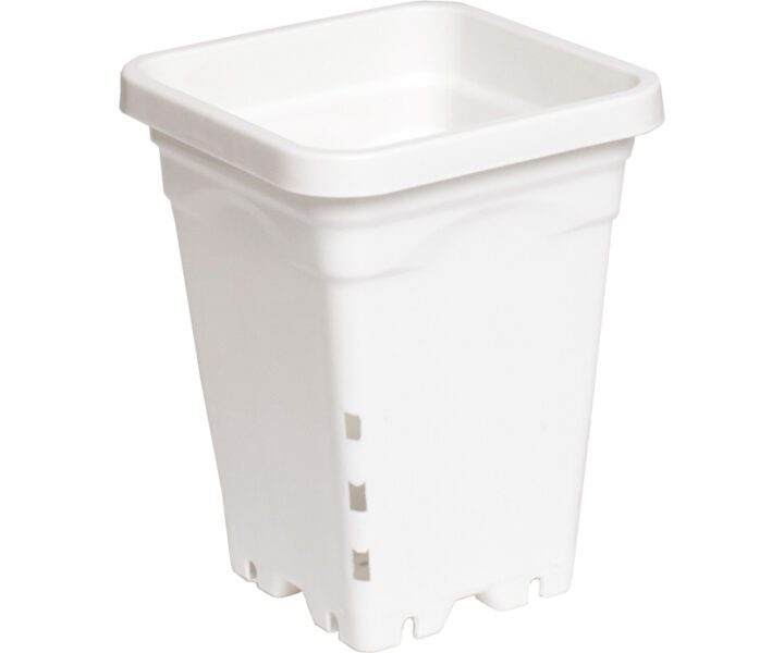 Active Aqua Square Pots
