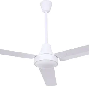 Canarm Ceiling Fan