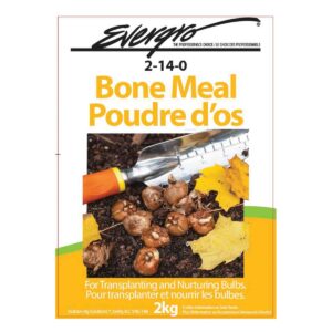 Evergro Bone Meal