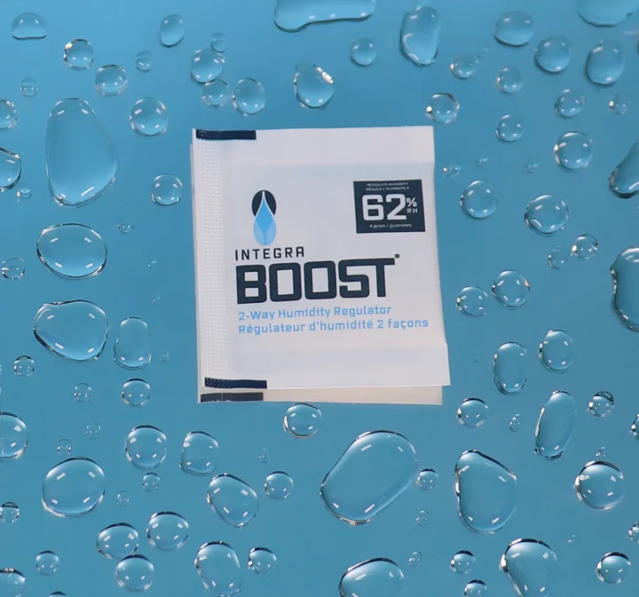 INTEGRA BOOST 4 Gram 62%
