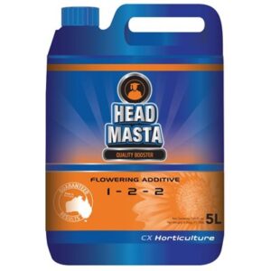CX Head Masta