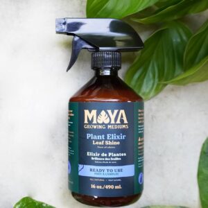 Maya plant elixir spray